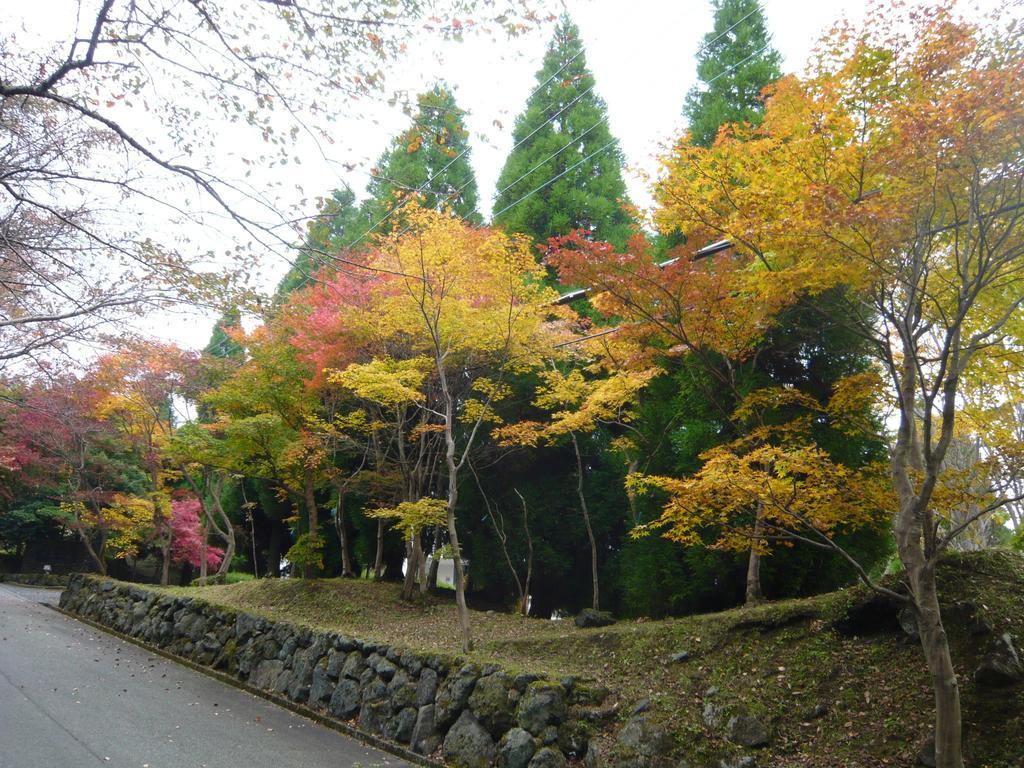 Pension Bell Bird Aso Exterior foto